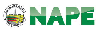 nape logo